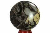 Polished Septarian Geode Sphere - Madagascar #134430-3